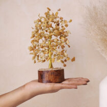 yellow-aventurine-tree-gold-