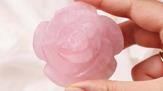 Rose Quartz, Rose Flower