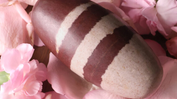 Narmadeshwar Shivling