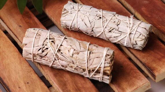 California White Sage