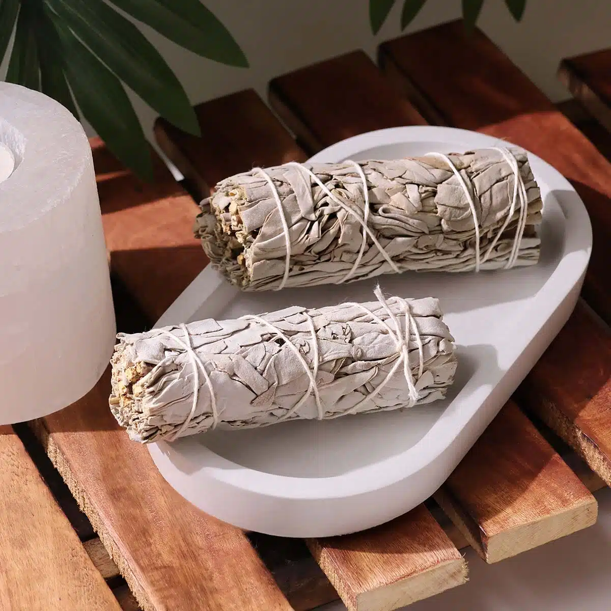 california-white-sage (2)