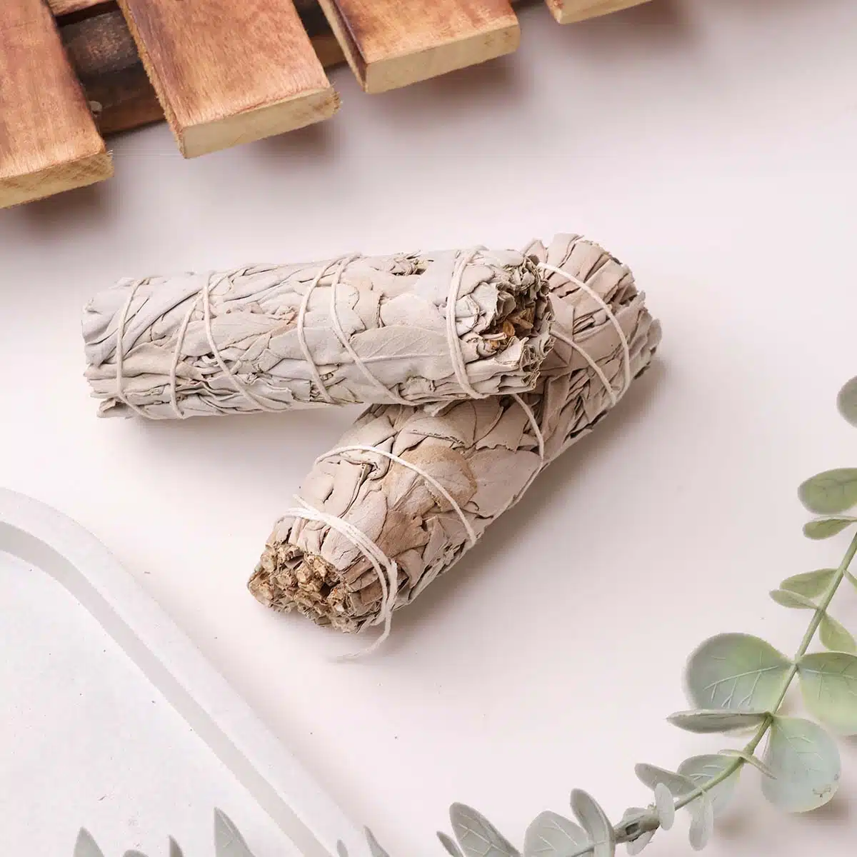 california-white-sage (3)