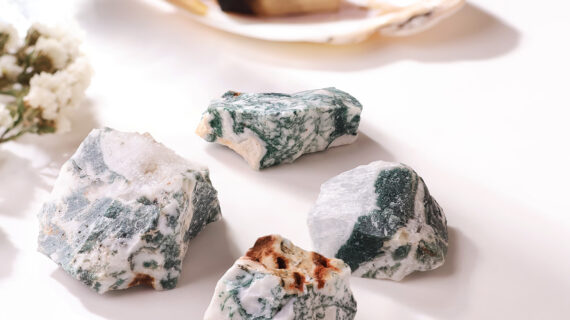 Tree Agate Raw Stone