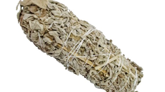 Indian Sage Leaves Bundle (50 Gm)