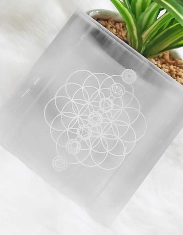 Selenite Seven Chakra Plate