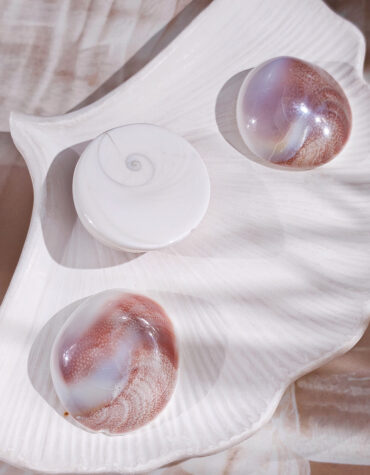 gomti chakra big shell