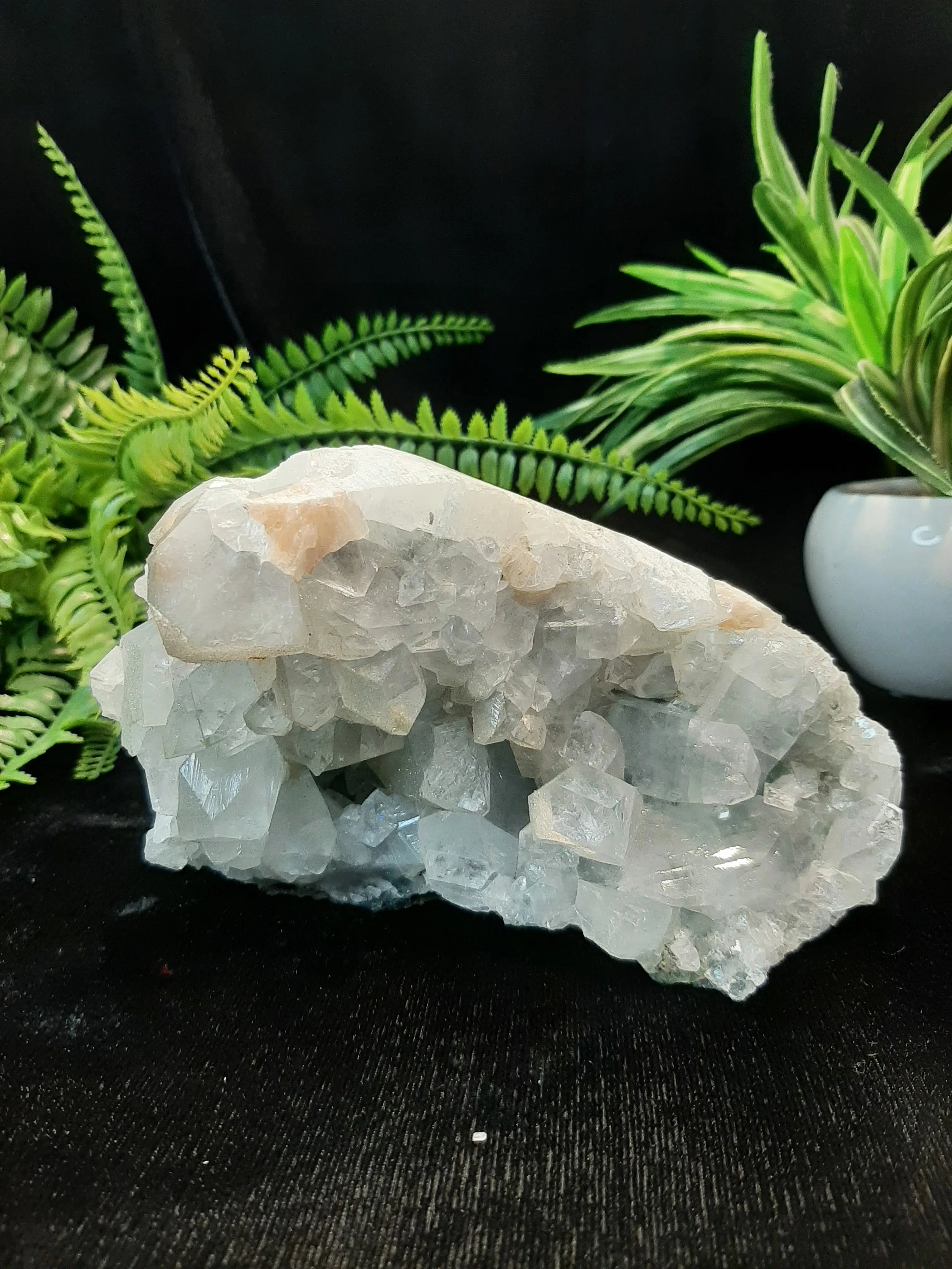 Apophyllite Cluster - 1078 Grams - Shubhanjali