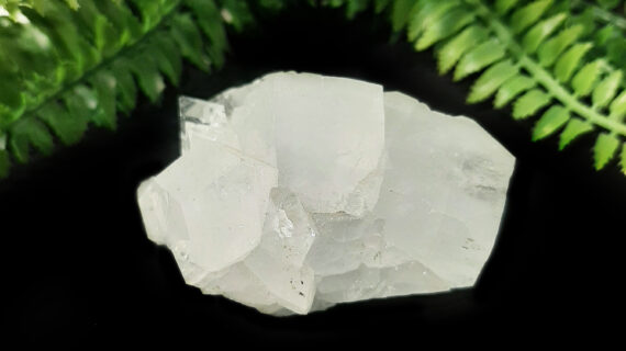 Apophyllite Cluster – 151 Grams