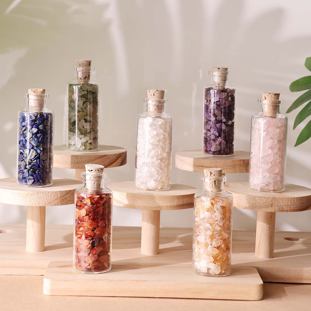 Chips in Bottle (13)