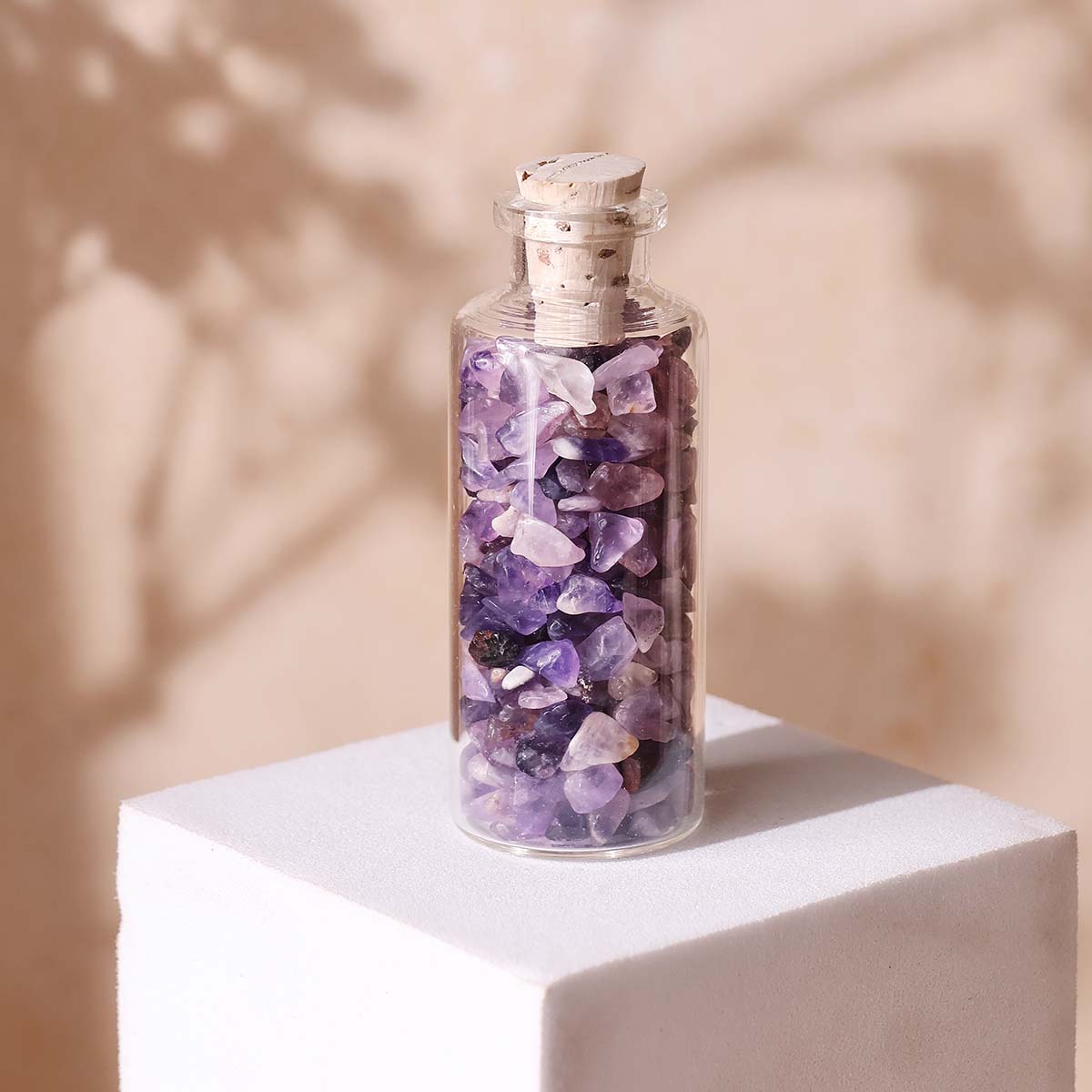 Chips in Bottle (34)