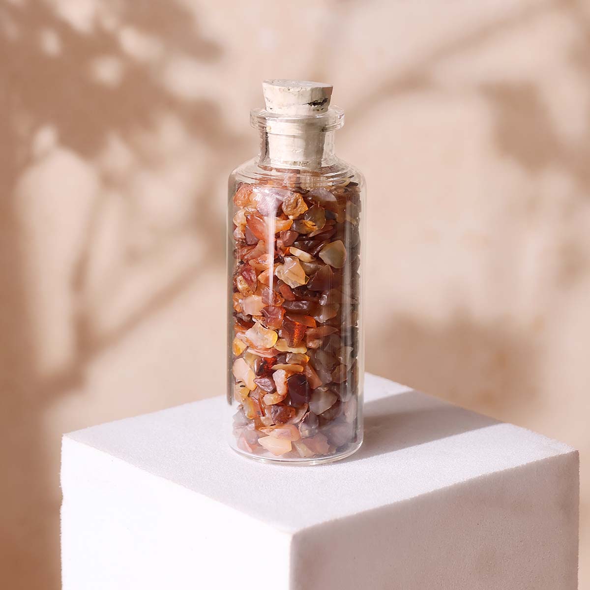 Chips in Bottle (35)