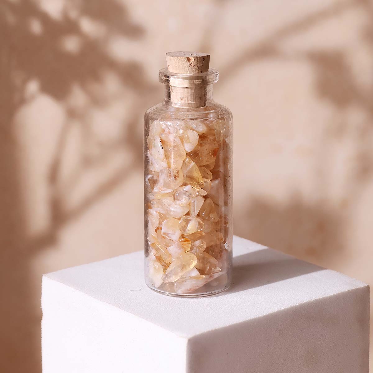 Chips in Bottle (39)