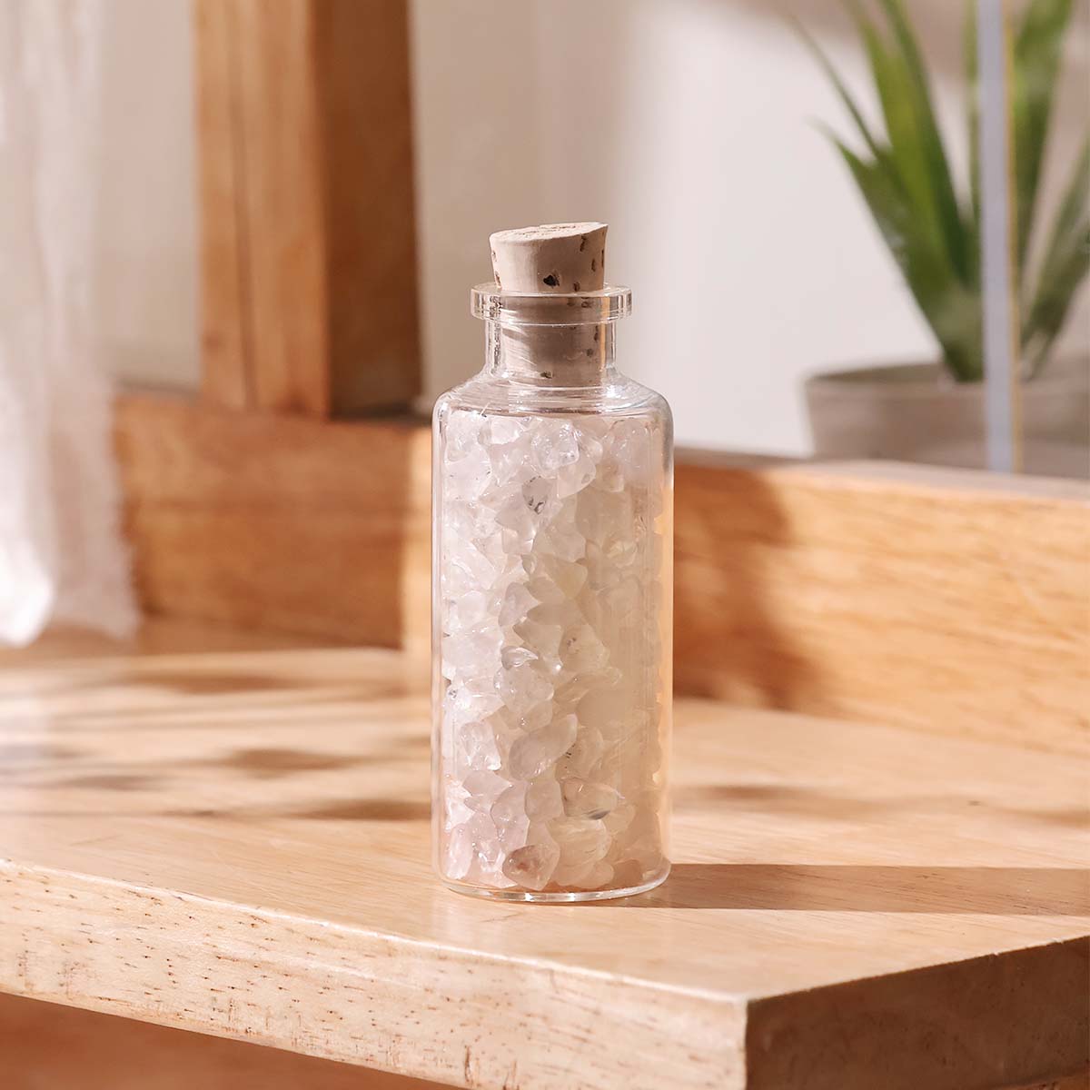 Chips in Bottle (50)