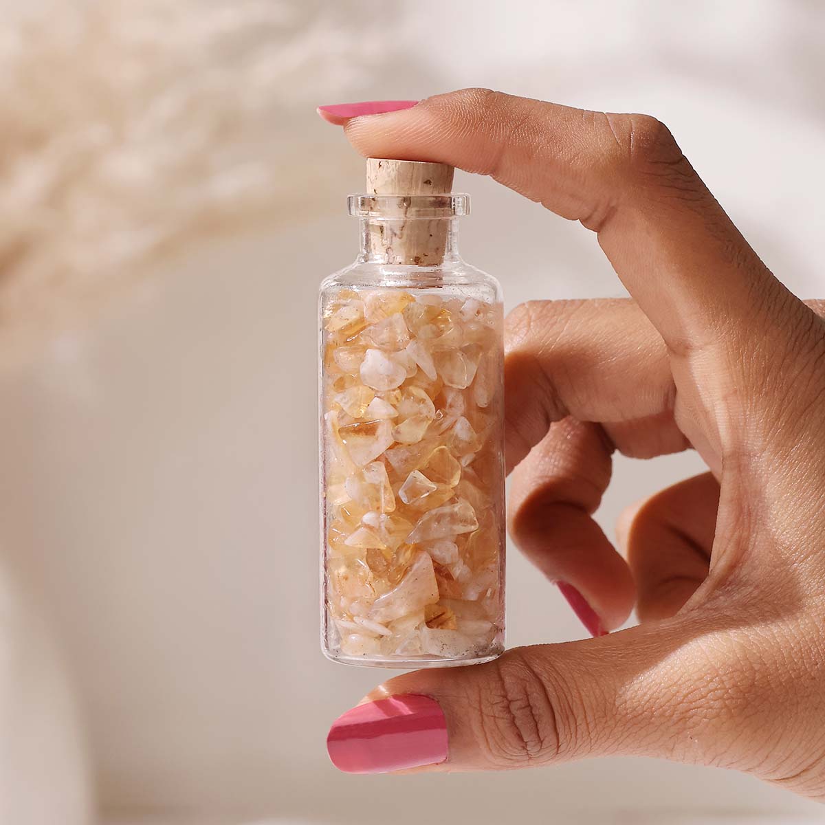 Chips in Bottle (54)