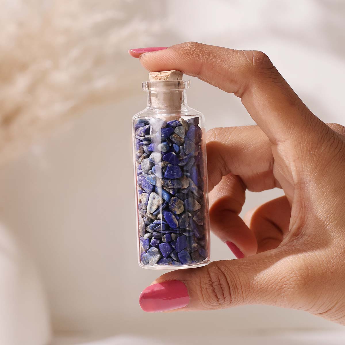 Chips in Bottle (55)