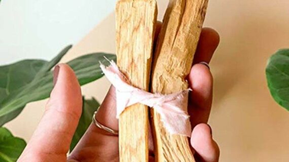 Palo Santo Incense Sticks