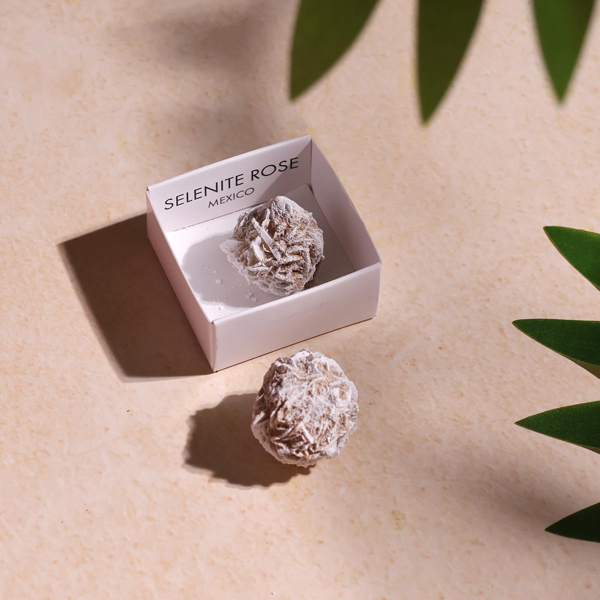 Selenite Desert Rose (2)