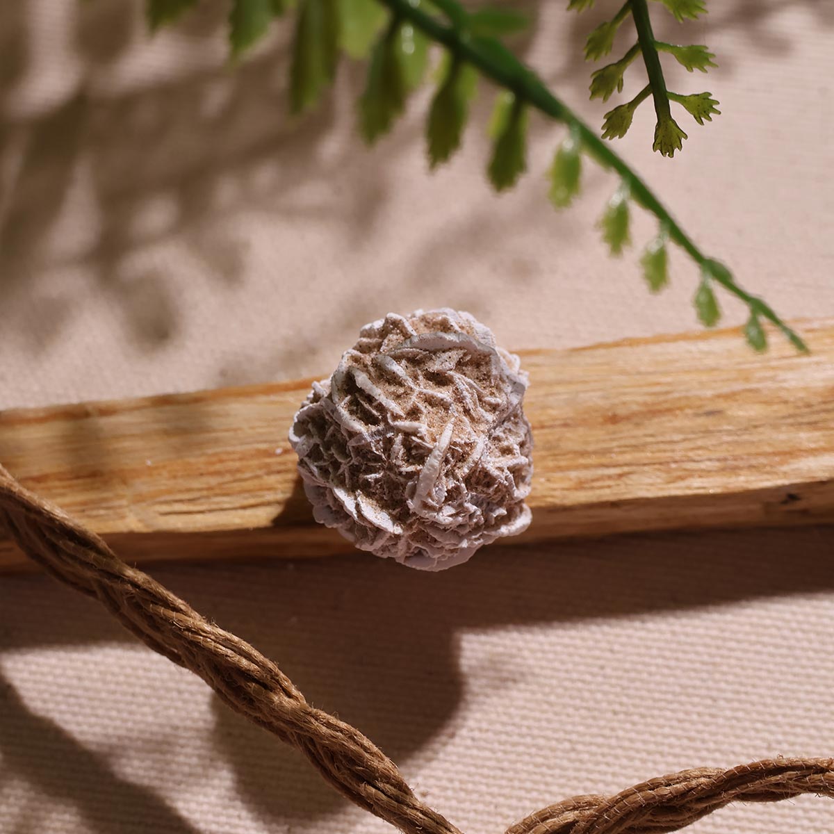 Selenite Desert Rose (5)