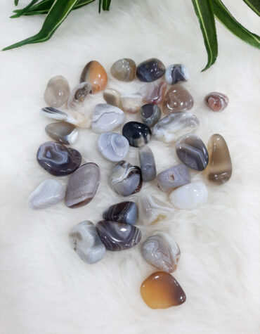 Bostwana Agate Tumble Stone