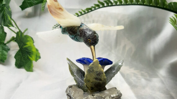 Humming Bird 2