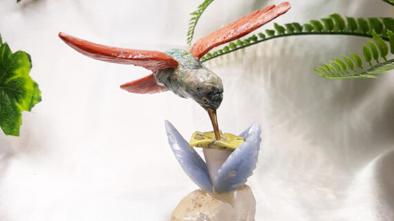 Humming Bird