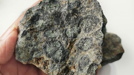 Kambaba Jasper Raw Stone