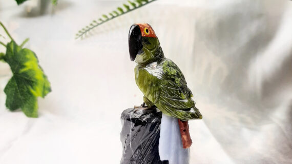 Serpentine Parrot 2