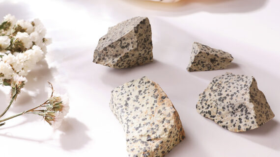 Dalmatian Jasper Raw Stone
