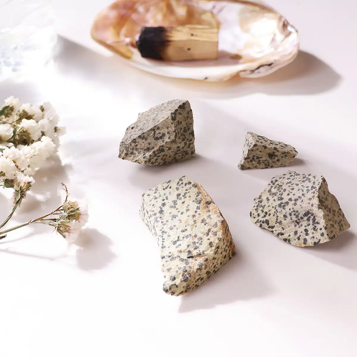 dalmatian-jasper-raw-stone (1)