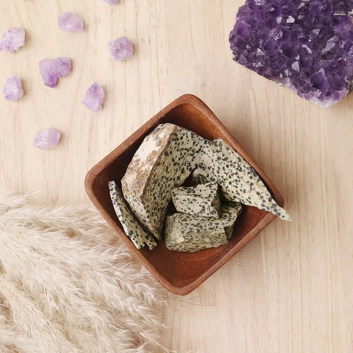 dalmatian-jasper-raw-stone (2)