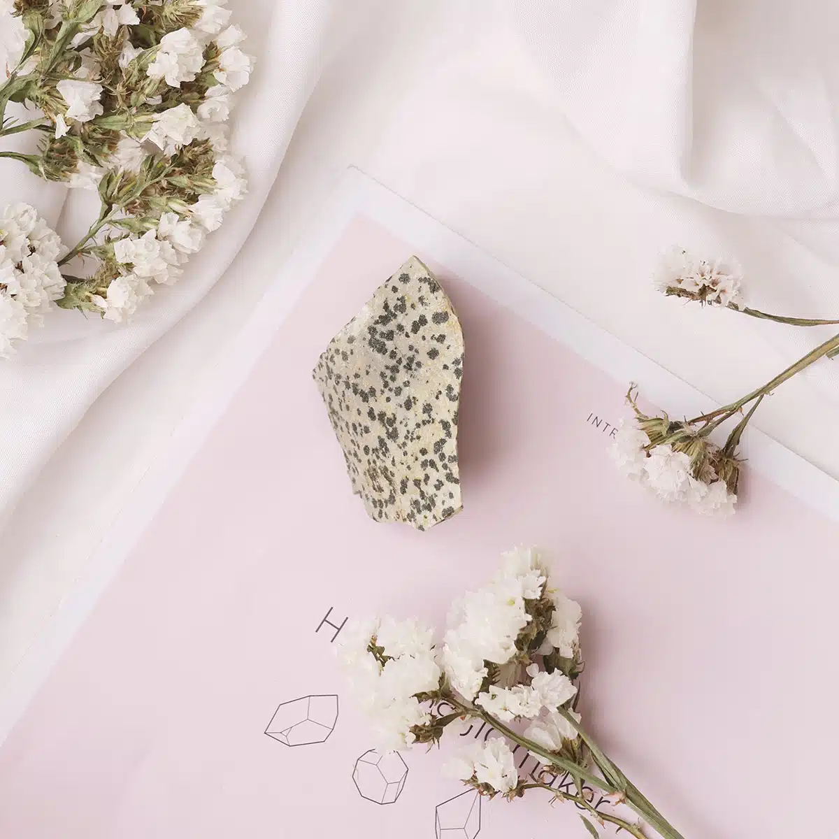 dalmatian-jasper-raw-stone (3)