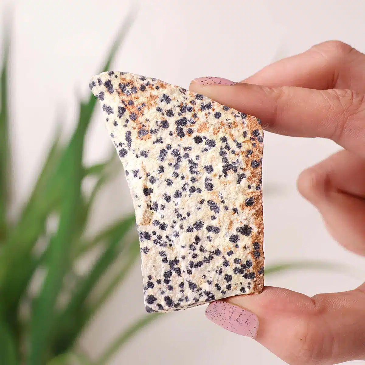 dalmatian-jasper-raw-stone (5)