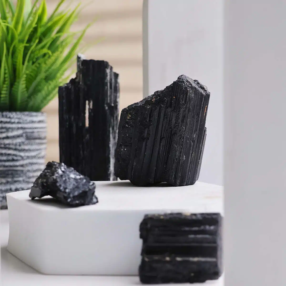 Shop Natural Black Tourmaline Crystal Raw Stones