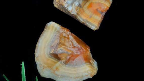 Botswana Agate Raw Stone