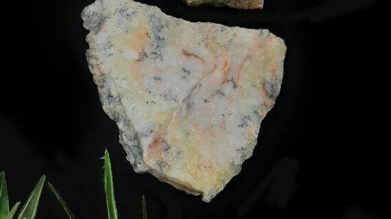 Dendritic Opal Raw Stones