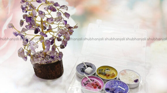 Gift Combo 2 (Health)