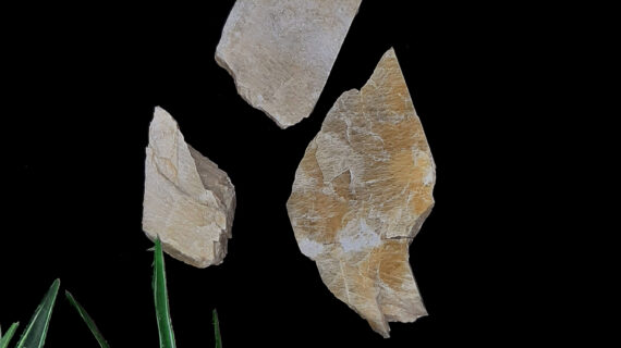 Yellow Aventurine Raw Stones