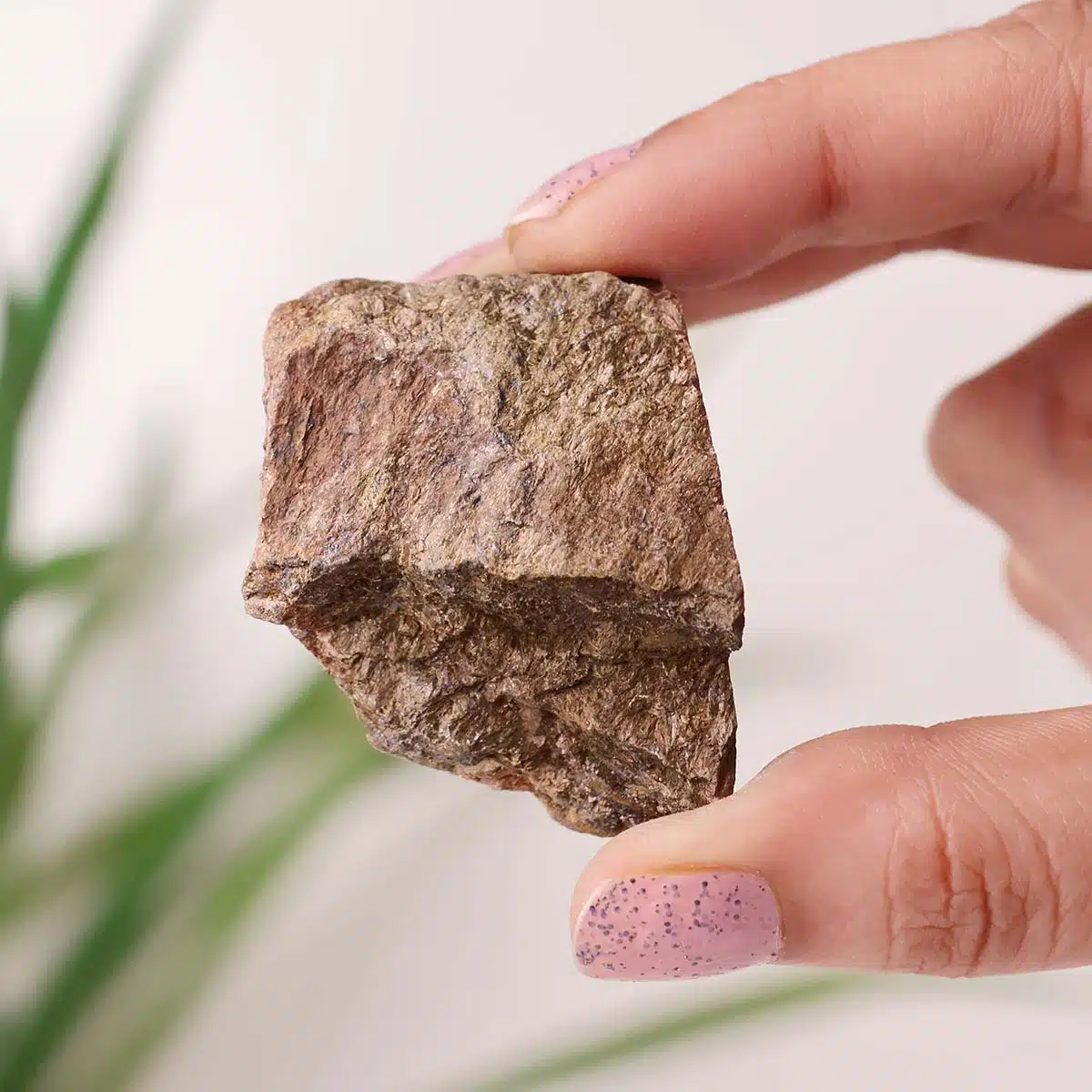 bronzite-raw-stone (6)