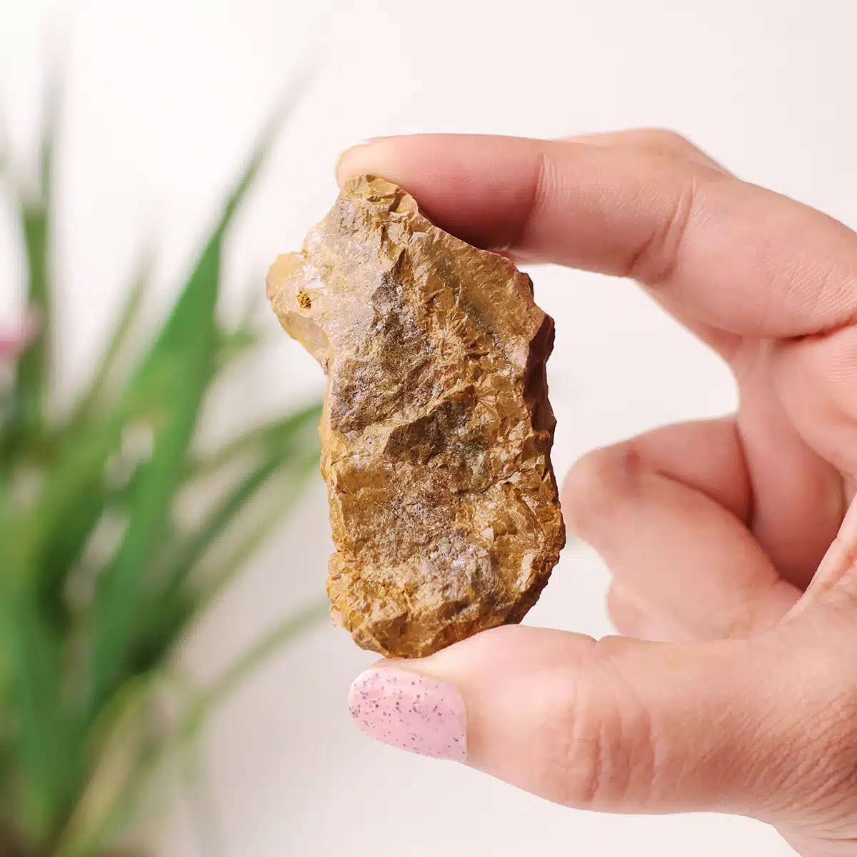 bronzite-raw-stone (7)