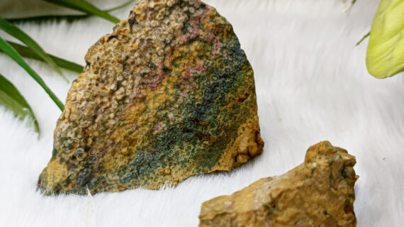 Ocean Jasper Raw Stone