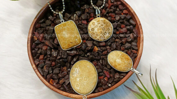 Fossil Jasper Pendant