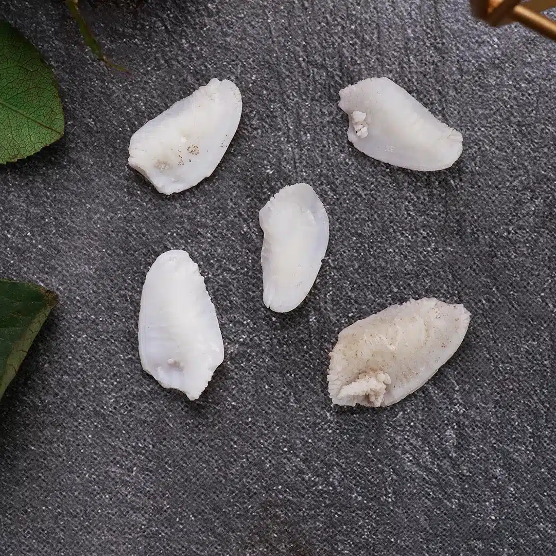 Shubhanjali-Shukhra Mani Rough Stone (1) Shop Shukhra Mani Rough Stone