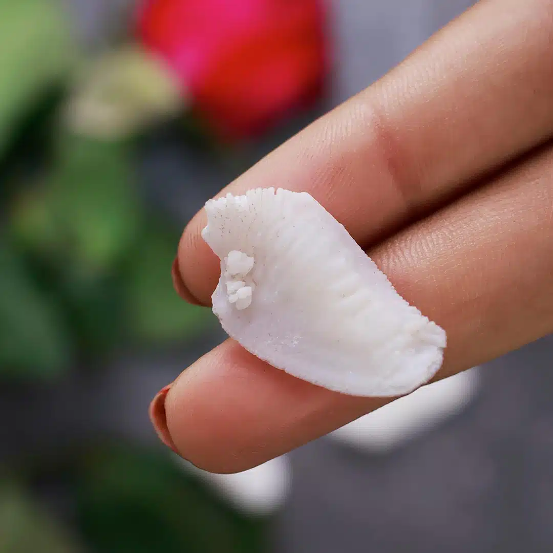 Shubhanjali-Shukhra Mani Rough Stone (2) Shop Shukhra Mani Rough Stone