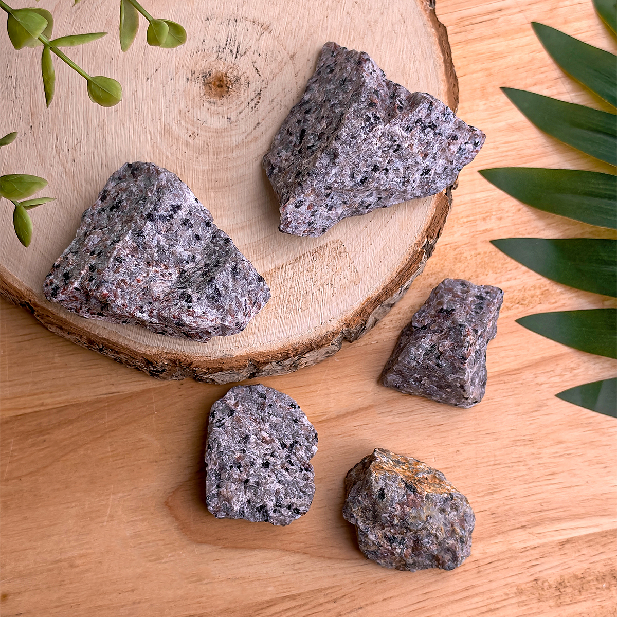 Yooperlite Raw Stone -Shubhanjali Stone (2) yooperlite raw stone