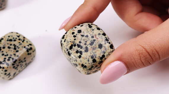 Dalmation Jasper Tumble Stones