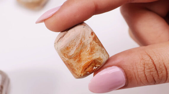 Petrified Tumble Stones
