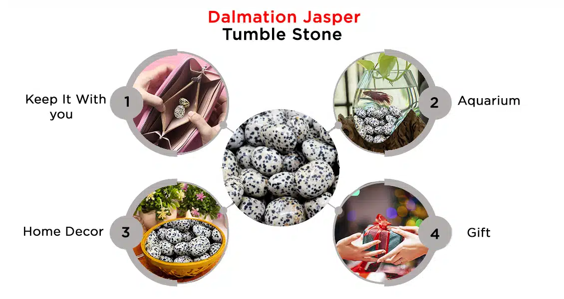 Natural Dalmation Jasper Tumble Stones
