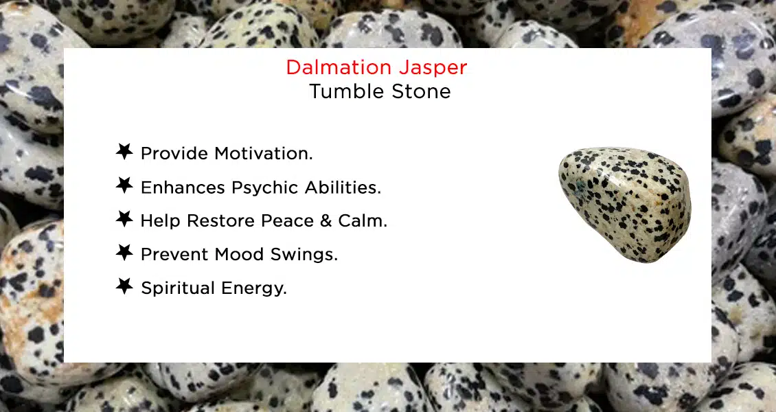 Natural Dalmation Jasper Tumble Stones