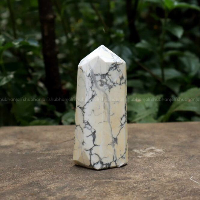 Howlite Crystal Point