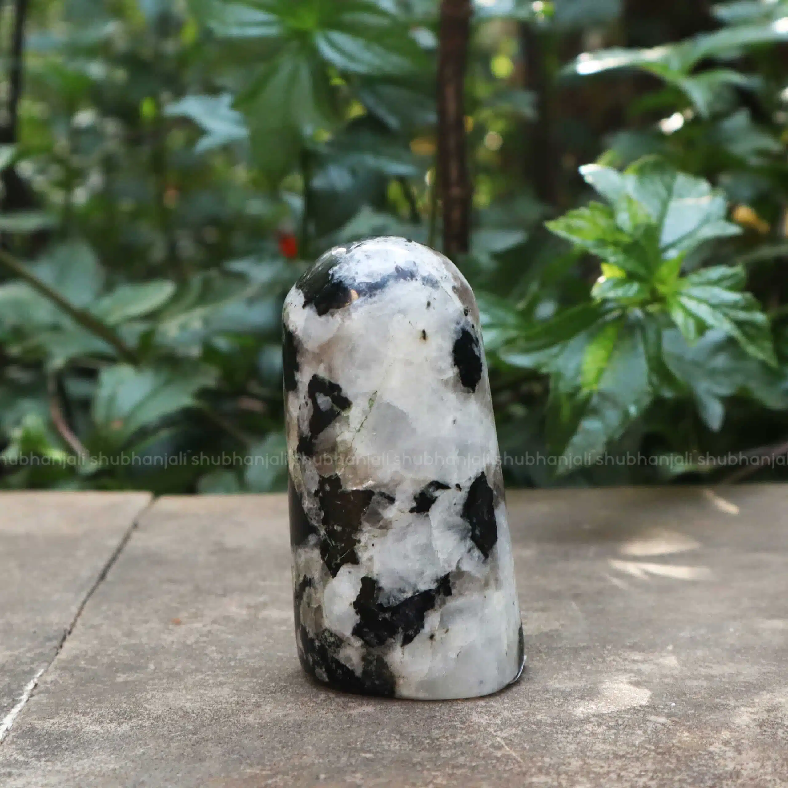 Shubhanjali-Rainbow Moonstone Point-3 Rainbow Moonstone Point